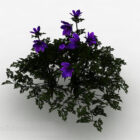 Фиолетовый цветок декоративное растение