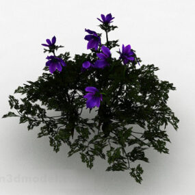 Purple Flower Ornamental Plant 3d model
