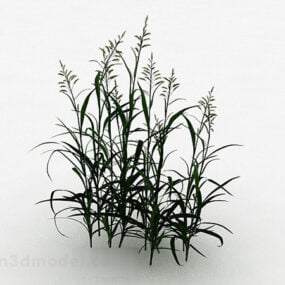 Garden Green Grass 3d model