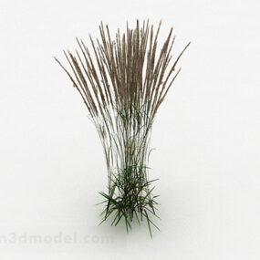Wild Grass 3d model