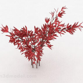 Ornamental Red Leaf Plant V1 3d model