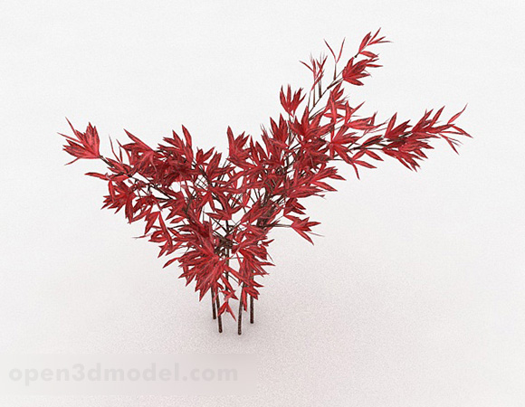 Декоративна рослина червоного листя V1