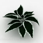 Мелколистное растение