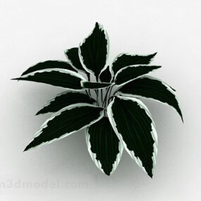 Small Leaf Plant 3d model