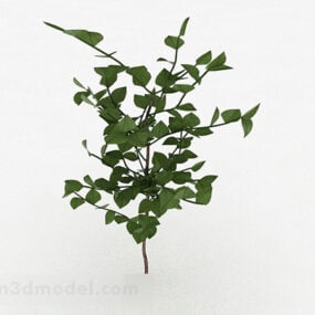 Modelo 3d de plantas de hojas ovaladas.