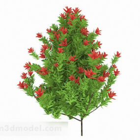 붉은 검 모양의 잎 관목 V1 3d 모델