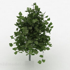 Οβάλ φύλλα διακοσμητικά φυτά V1 3d μοντέλο