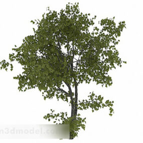 Oval Leaves Trees V1 3d model