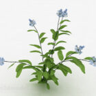 青い花の庭の植物