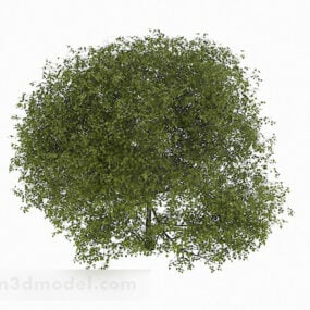Model 3D żywopłotu z trawy ogrodowej