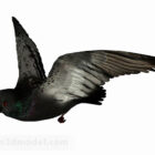 Schwarzes Tauben-Tier
