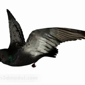โมเดล 3 มิติสัตว์นกพิราบดำ