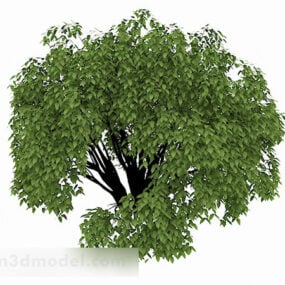 مدل سه بعدی باغچه درخت سبز در فضای باز