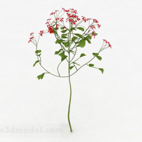 Garden Red Flower 3d model