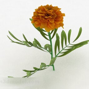 Orange Flower Plant V1 3d model