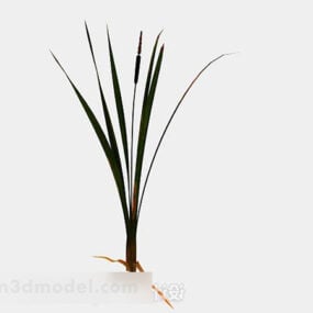 Weed Grass 3d model