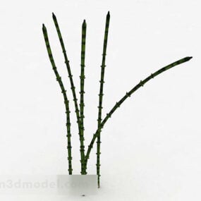 דגם תלת מימד של צמח עשבים זעירים