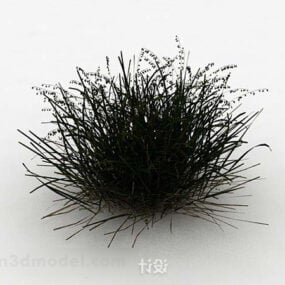 Green Grass Weed 3d model