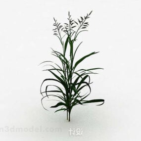 Green Grass Tree 3d-model
