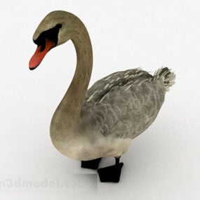 Gray Duck Animal 3d model