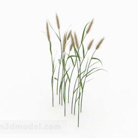 Modelo 3d de planta de grama com cauda de cachorro