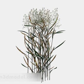 Weed Bush 3D-Modell