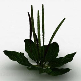 Modello 3d di erbacce con foglie grandi