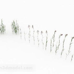 Bộ sưu tập cỏ dại mô hình 3d
