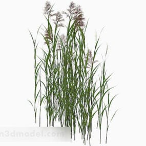 Outdoor Weed Grass V1 3d model