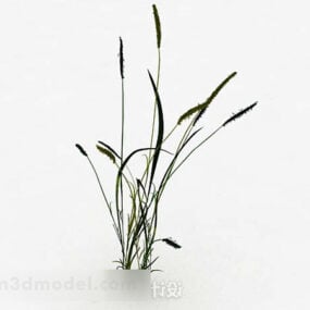 Dog Tail Grass V2 3d model