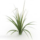 Single Green Grass Plant