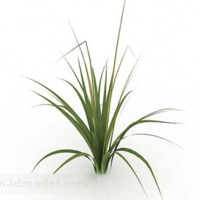 Single Green Grass Plant 3d model