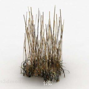 نموذج ثلاثي الأبعاد لنباتات العشب الجاف في الهواء الطلق