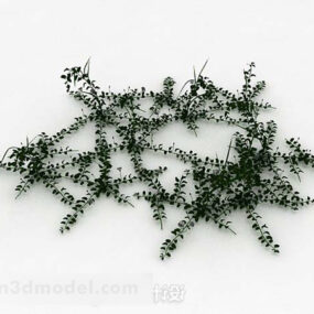 Lierre de mauvaises herbes modèle 3D
