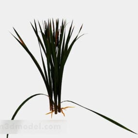 Green Grass Single 3d model