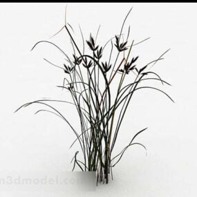 Nature Weed 3d model