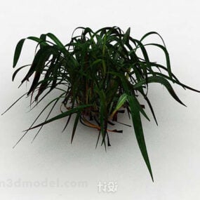 3D model malého keře zelené trávy