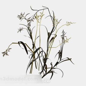 Mô hình 3d hoa trắng cỏ dại