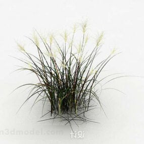 잡초 식물 V1 3d 모델
