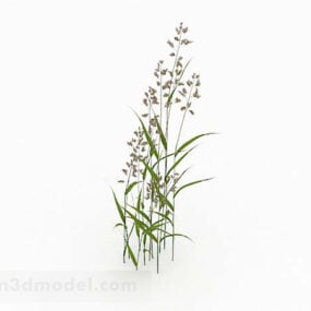 Outdoor Wildflower 3d model