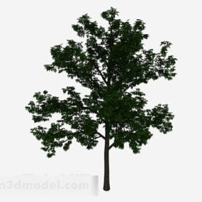 庭の緑の木3Dモデル