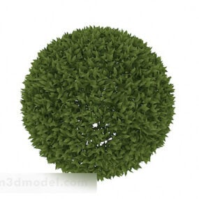 Model 3D o kulistym kształcie liścia lancetowatego