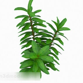 Modelo 3d de planta de folha fina