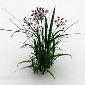 Sword Shaped Leaf Grass 3d-modell