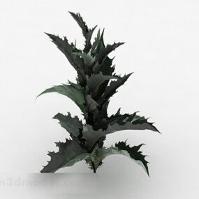 Garden Barbed Leaf Plant 3d model