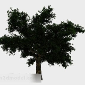 Model 3d Pokok Besar Di Tepi Tasik