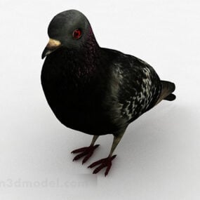 검은 비둘기 가구 3d 모델