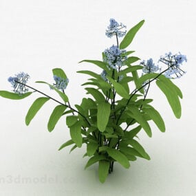 דגם תלת מימד של צמח כחול פרח
