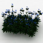 Niebieski Kwiat Na Zewnątrz