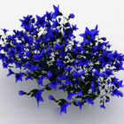 Blauwe vijfhoekige bloem